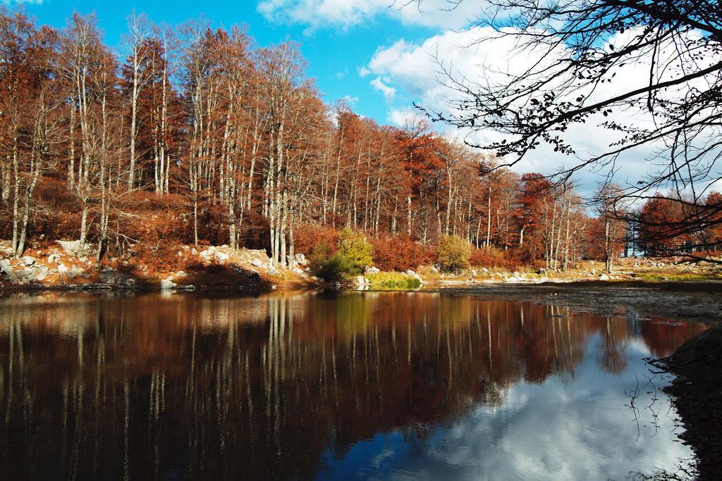 Guesthouse Alexandros Nestorion Dış mekan fotoğraf