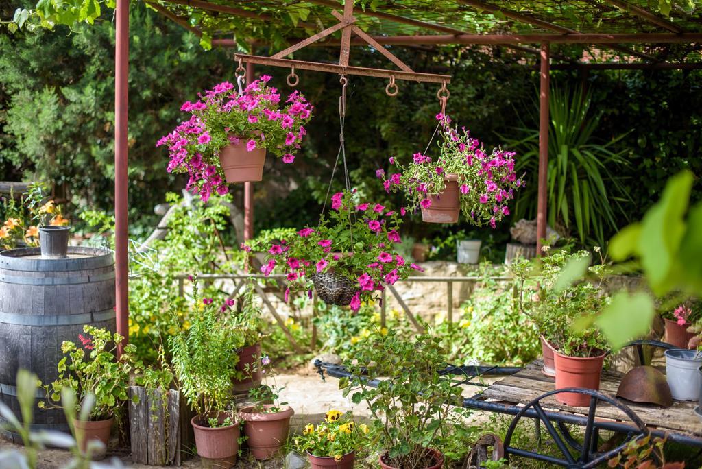 Guesthouse Alexandros Nestorion Dış mekan fotoğraf